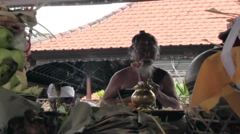 Pemangku Stock Footage 35573021