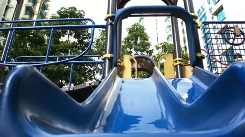 Pembroke Welsh Corgi Video stock 11733260