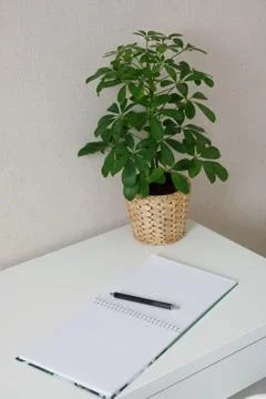 Pen and notepad on a white table Stock Photos