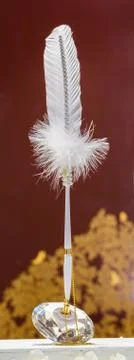 Pen decoration with feather Stock Photos