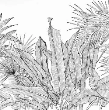 Pen drawing Illustrazione stock