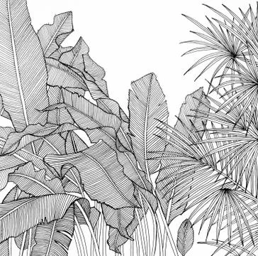 Pen drawing Illustrazione stock