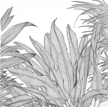 Pen drawing Illustrazione stock