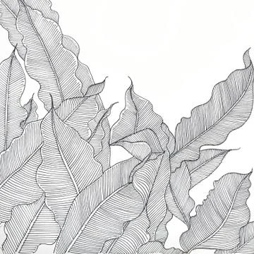 Pen drawing Illustrazione stock