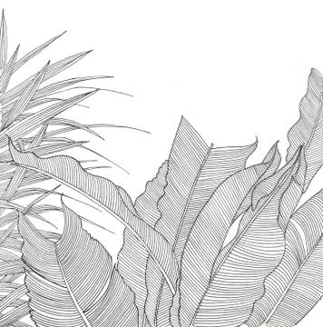 Pen drawing Illustrazione stock