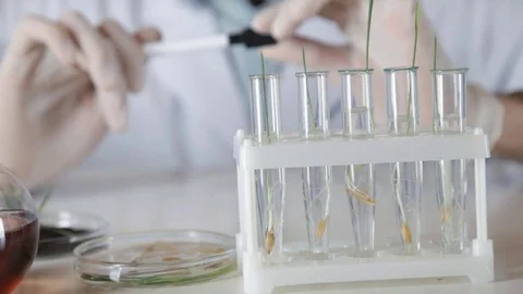 A pen in the hands of the scientist biologist Stock-Footage 73111186
