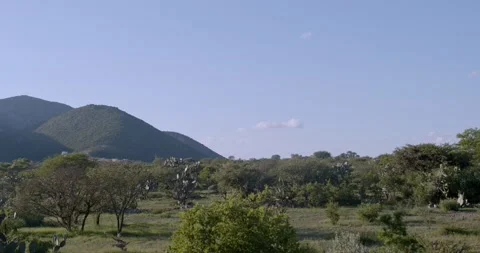 Peña de Bernal México Stock Footage 138970524