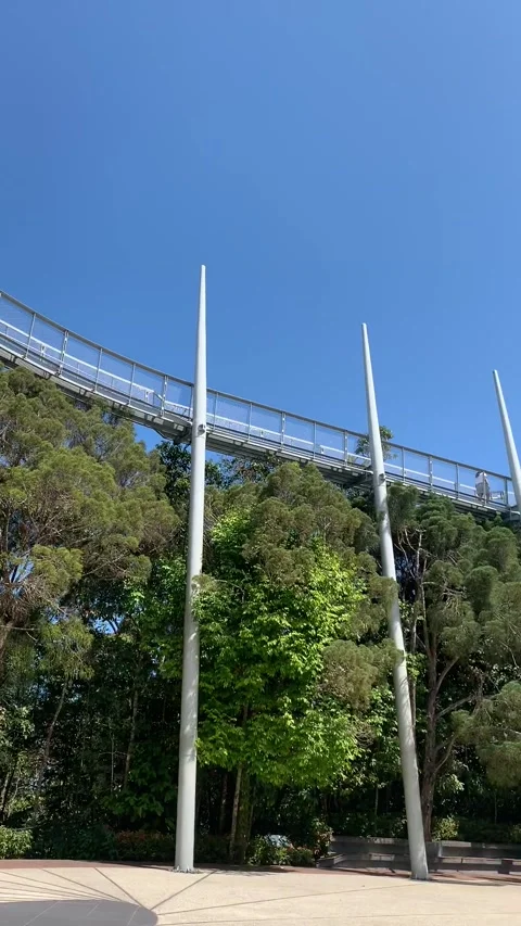 Penang Island, Malaysia - 2020/01/17 :  Observatory bridge Vidéo 343557504