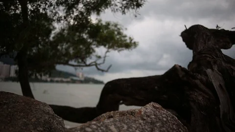 Penang Malaysia Video stock 100855377
