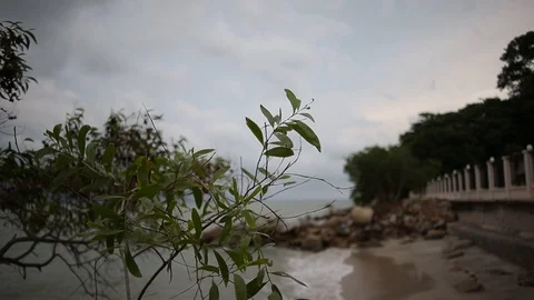 Penang Malaysia 動画素材 100855382