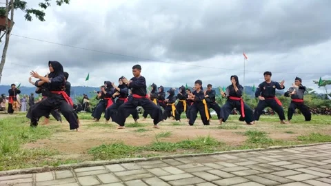 Pencak silat performance performed by children outdoors Stock Footage 291832591