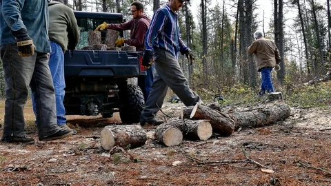 PENCER, MN - 8 OCT 2016: Men in forest working together. Stock Footage 105319891