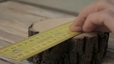 Pencil drawing a line on the stump Stock Footage 103595897
