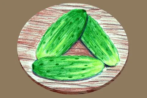 Pencil drawing three green fresh cucumbers with thorns lie on a round board Stock Illustration