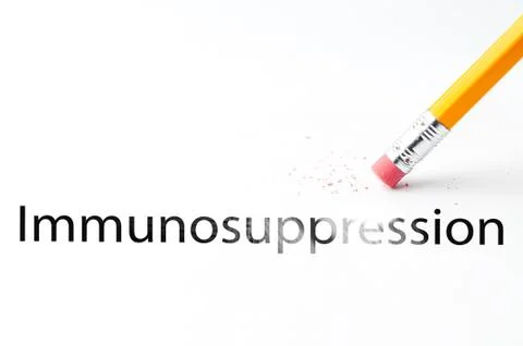 Pencil with eraser Stock Photos