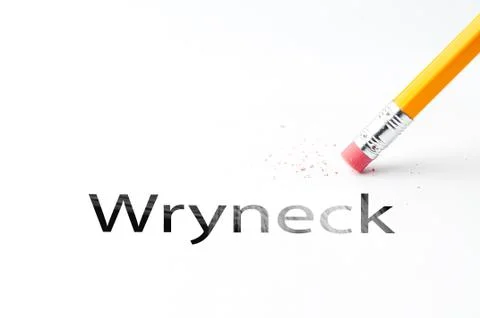 Pencil with eraser Stock Photos