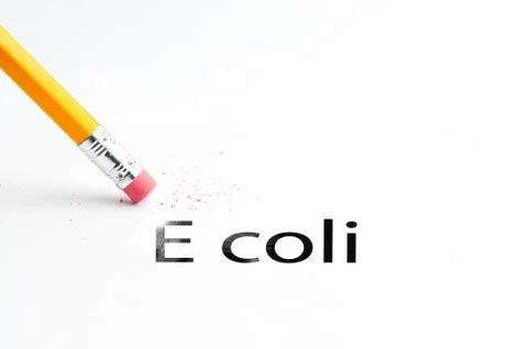 Pencil with eraser Stock Photos
