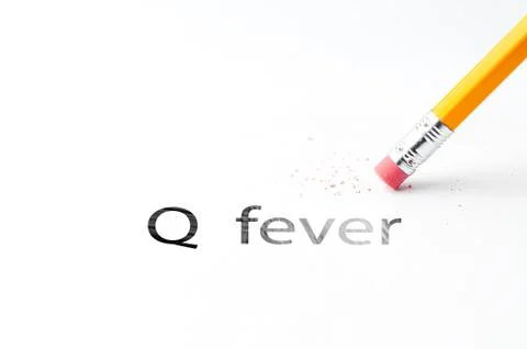 Pencil with eraser Stock Photos
