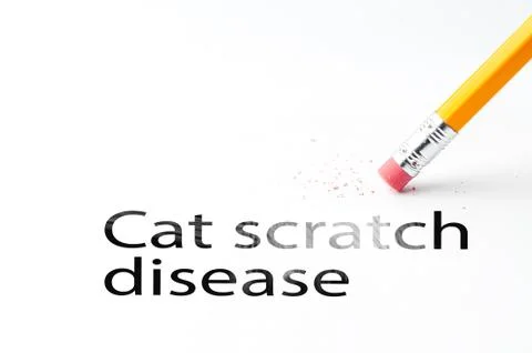 Pencil with eraser Stock Photos