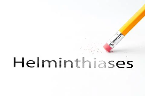 Pencil with eraser Stock Photos