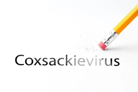 Pencil with eraser Stock Photos