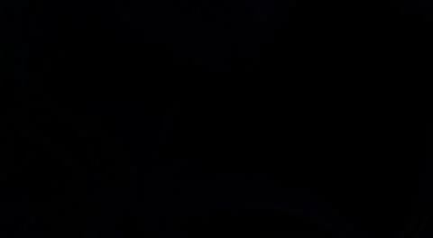 Pencil fluid abstract elements. Dynamic lines. Template for the design of fly Stock Illustration