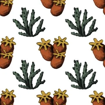 Pencil hand drawn seamless pattern with water plant Stock Illustration