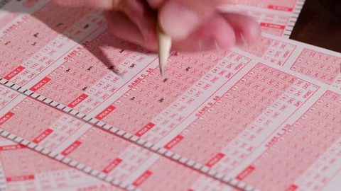 Pencil in Lottery Numbers on Stack of Tickets Stock Footage 79537690