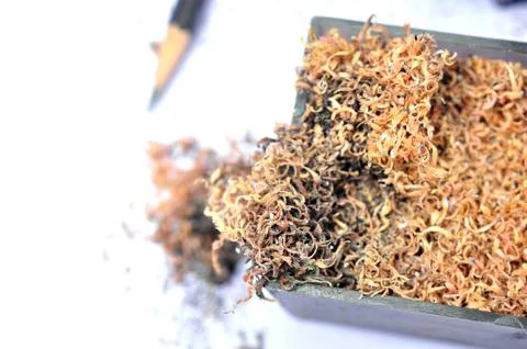 Pencil sharpener Stock Photos