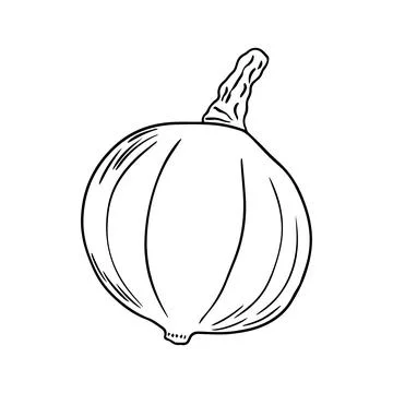 Pencil Sketch of a Pumpkin on a white Background. Autumn Hand Drawn Illustr.. 스톡 일러스트