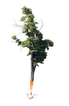 Pencil tree Stock Illustration