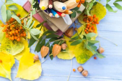 Pencils books concept back school autumn fruit Stock Photos