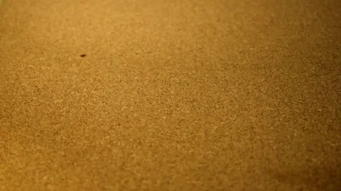Pencils Fall in Slow Motion Stock Footage 72063104