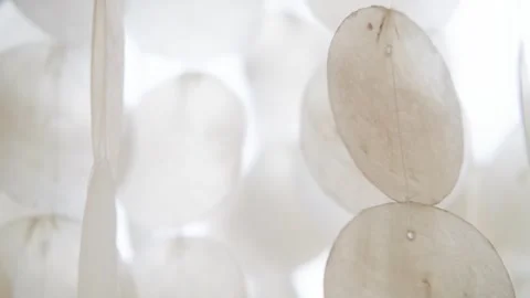 A pendant of white shells swings and jingles in the wind. Wind chime Stock Footage 305863860
