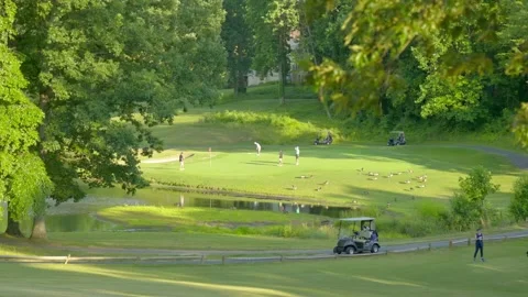 Penderbrook Golf Course 5 Video stock 243780054