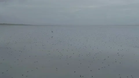 Pendine Sands Beach, Overcast Evening Aerial Drone Shot Stock Footage 172576991