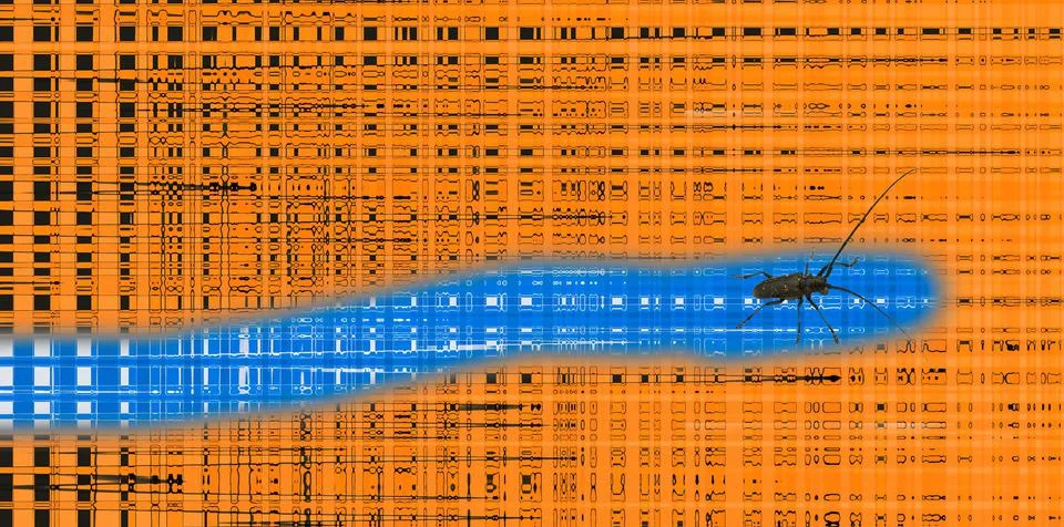 Penetration 写真素材