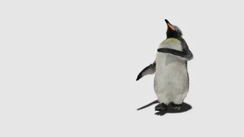 Penguin, With Alpha Matte. Stock Footage 137922201