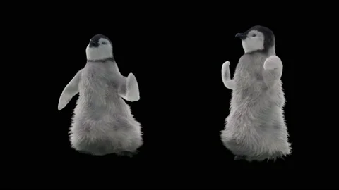 Penguin, With Alpha Matte. 库存影片 137924344