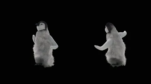 Penguin, With Alpha Matte. Видео 137924346