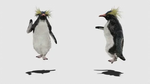 Penguin, With Alpha Matte. 库存影片 137924348