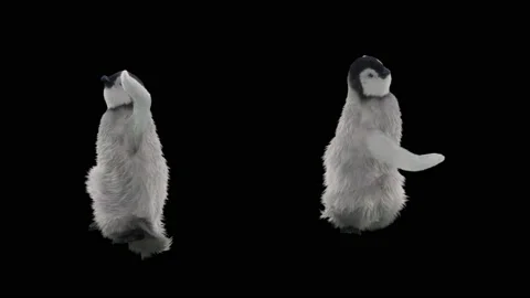 Penguin, With Alpha Matte. 库存影片 137924798