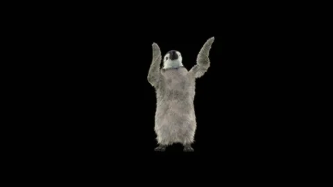 Penguin, With Alpha Matte. Stock Footage 143924218