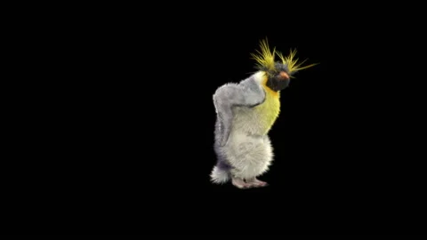 Penguin, With Alpha Matte. 库存影片 148044645