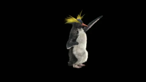 Penguin, With Alpha Matte. 库存影片 149135475