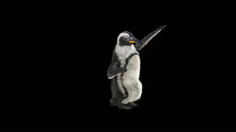 Penguin, With Alpha Matte. Video stock 149136095