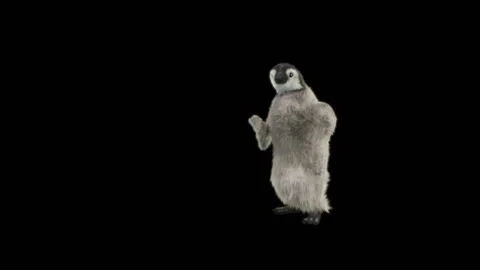 Penguin, With Alpha Matte. 库存影片 149427836