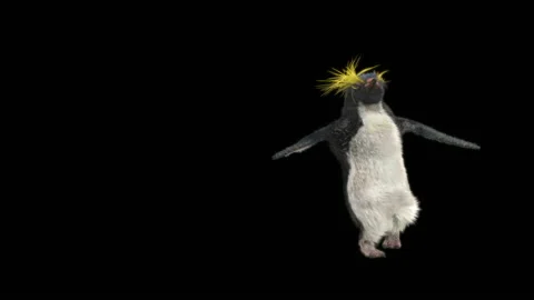 Penguin, With Alpha Matte. Видео 150270761