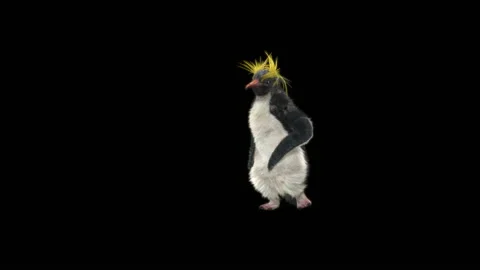 Penguin, With Alpha Matte. Stock Footage 152183966