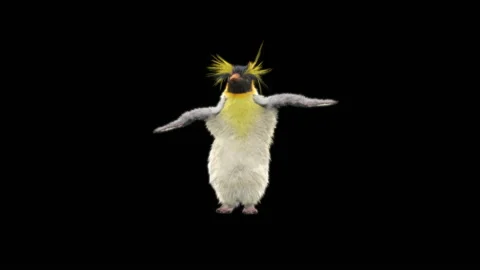 Penguin, With Alpha Matte. Stock Footage 152792239